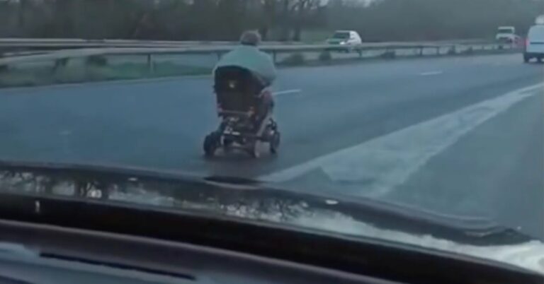 VIDÉO. En Bretagne, trois héros sauvent une femme en fauteuil roulant engagée sur une voie express